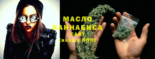 индика Богородск