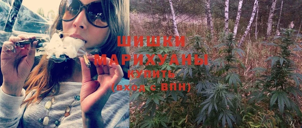 индика Богородск