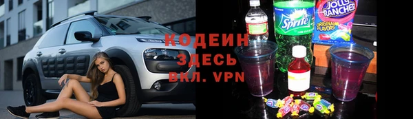 индика Богородск