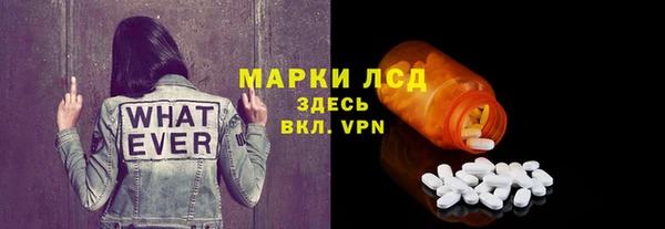 гидра Богданович