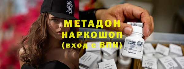 гидра Богданович