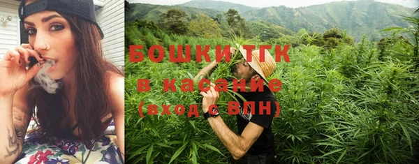 гидра Богданович