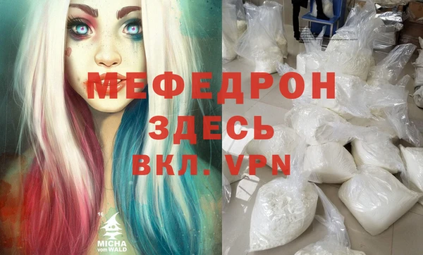 индика Богородск