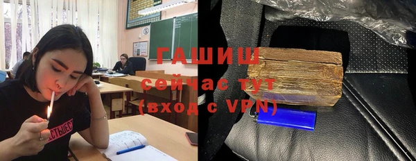 гидра Богданович
