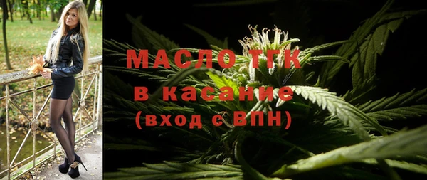 индика Богородск