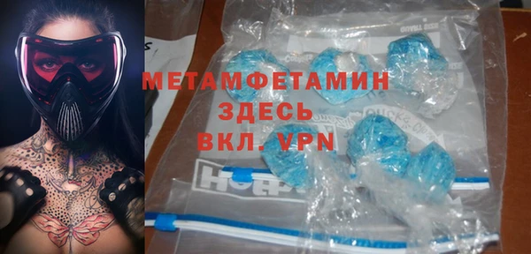 индика Богородск