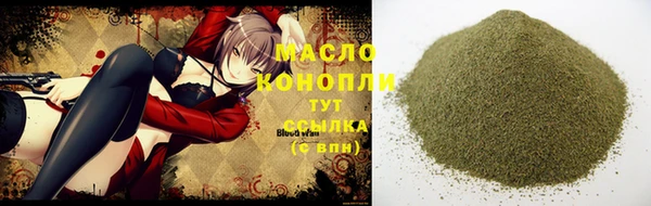 индика Богородск