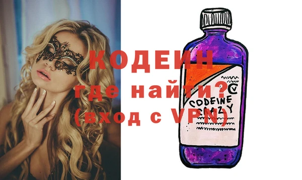индика Богородск
