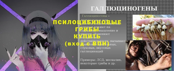 индика Богородск