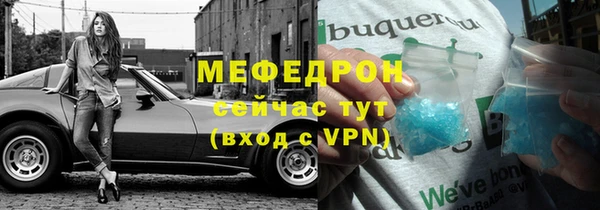 индика Богородск