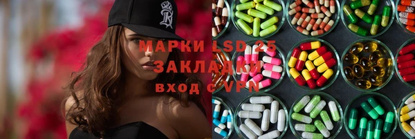 гидра Богданович