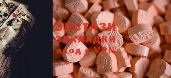 гидра Богданович