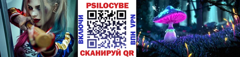 Псилоцибиновые грибы MAGIC MUSHROOMS  сколько стоит  Новороссийск 